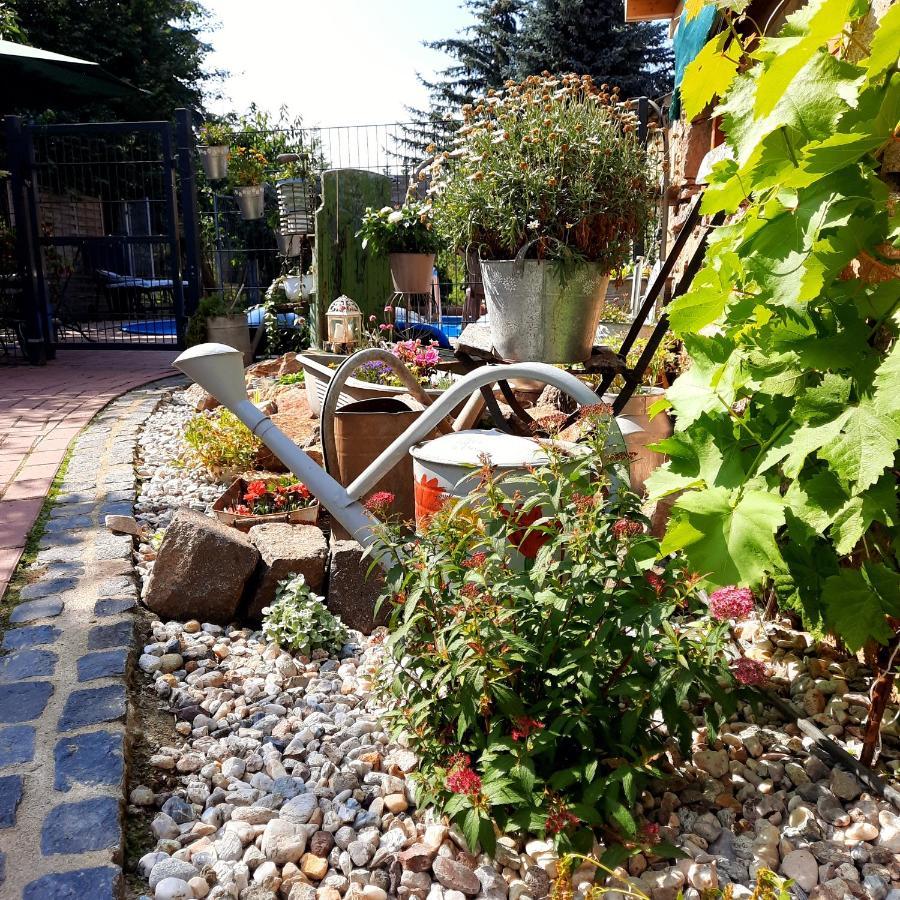 Gaestewohnung Am Thuemmlitzwald 그림마 외부 사진